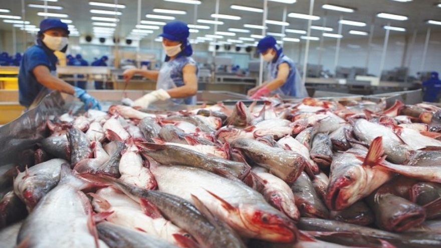 Pangasius exports rebound on rising global demand